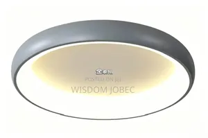 Modern Nordic Pebble-Shaped Ceiling Light