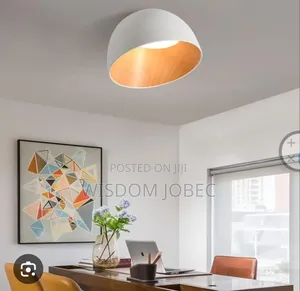 Modern Nordic Pebble-Shaped Ceiling Light