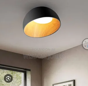 Modern Nordic Pebble-Shaped Ceiling Light