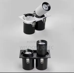 Square Dual Head Cob Led Recessed Adjustable