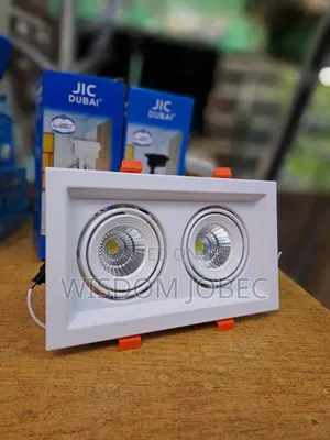 Square Dual Head Cob Led Recessed Adjustable
