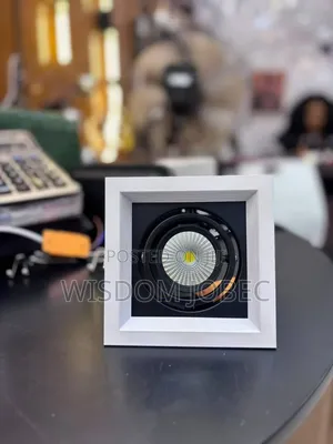 Square Dual Head Cob Led Recessed Adjustable