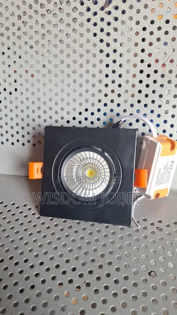 Dual Head Cob Led Recessed