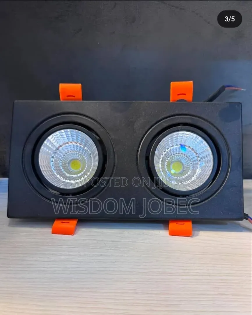 Dual Head Cob Led Recessed