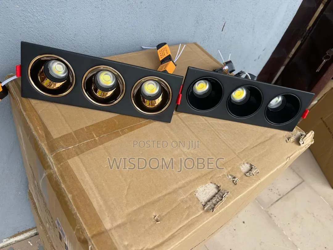 Recessed Led Cob Downlights With Adjustable Spotlight