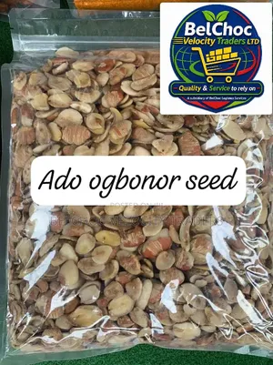 Premium African Foodstuff Supplier in Nigeria