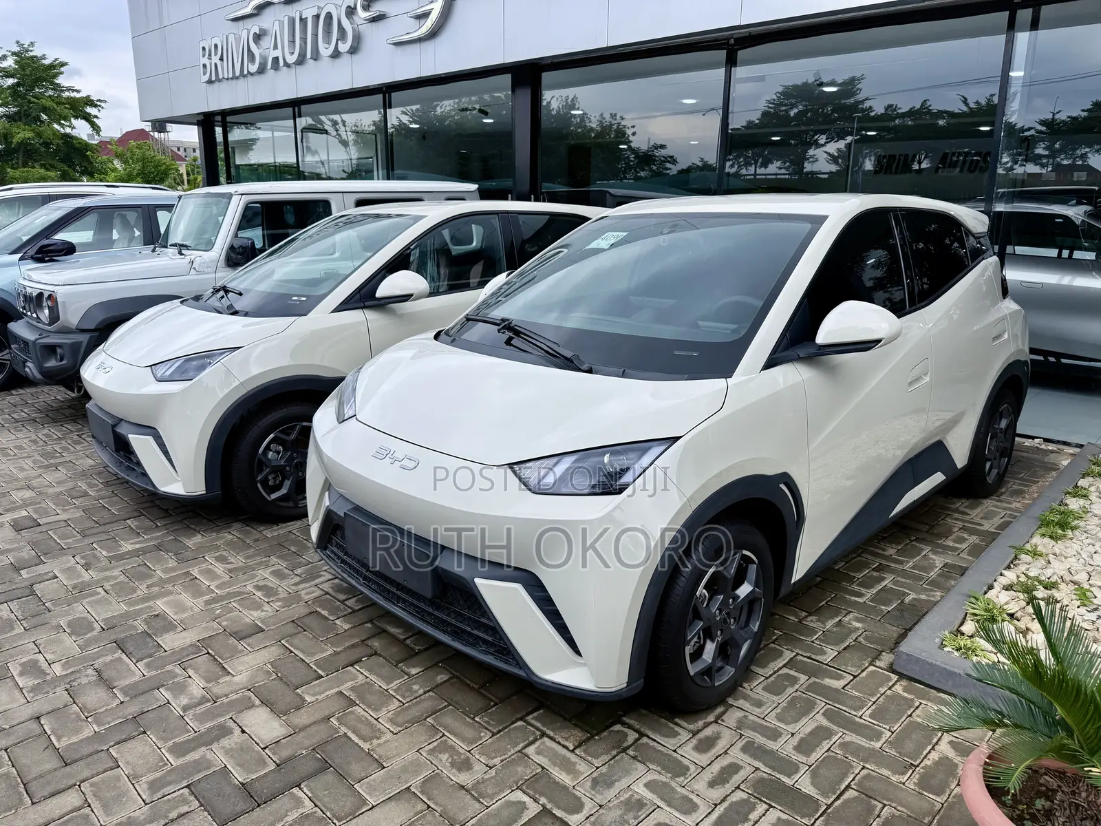 BYD Seagull 2024 White