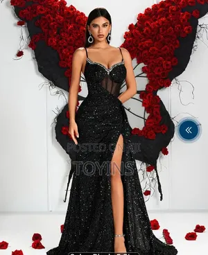 Luxury Dinner/Prom Dress