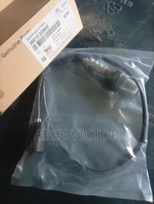Oxygen Sensor