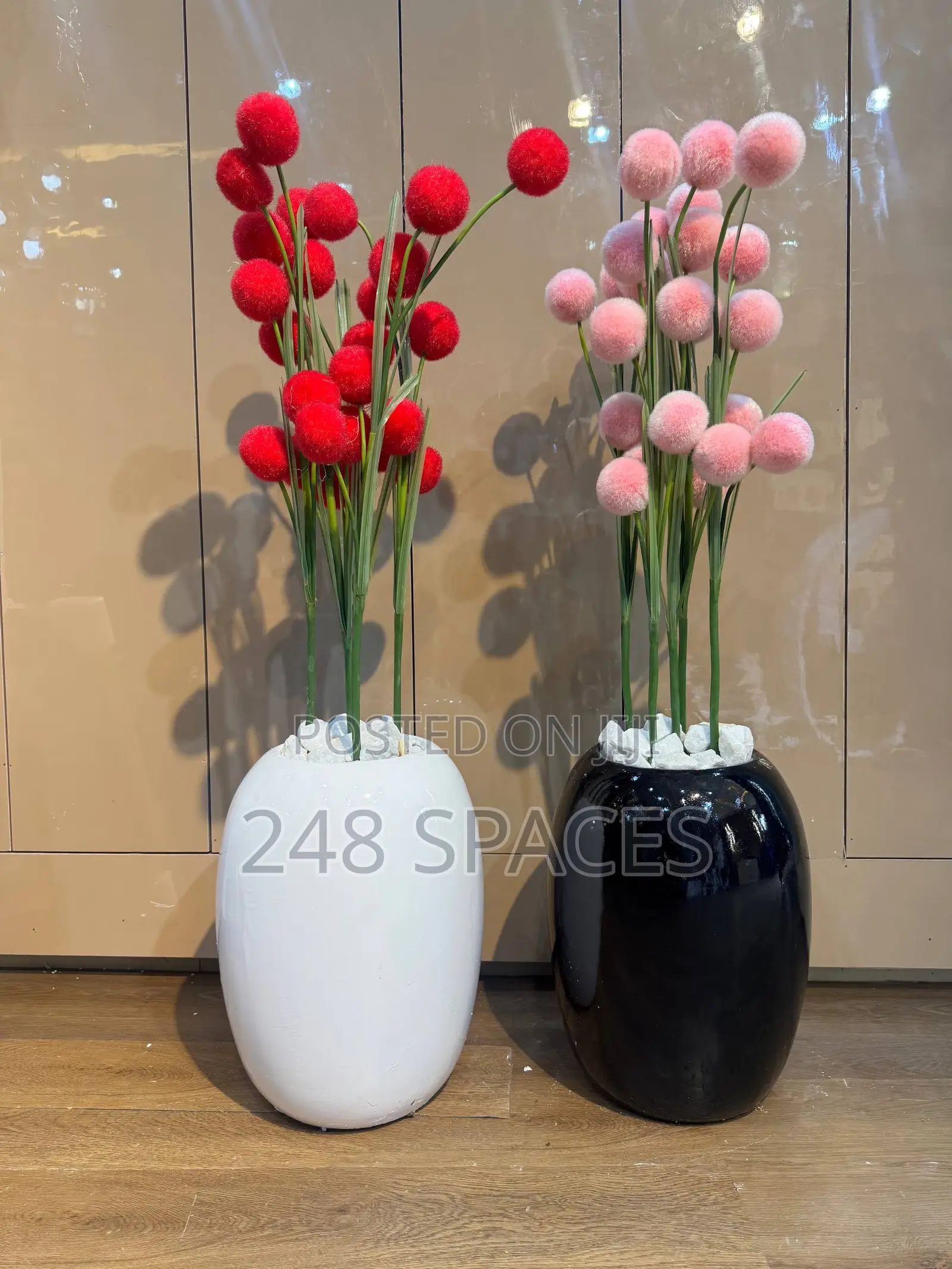 Colourful Indoor Plant