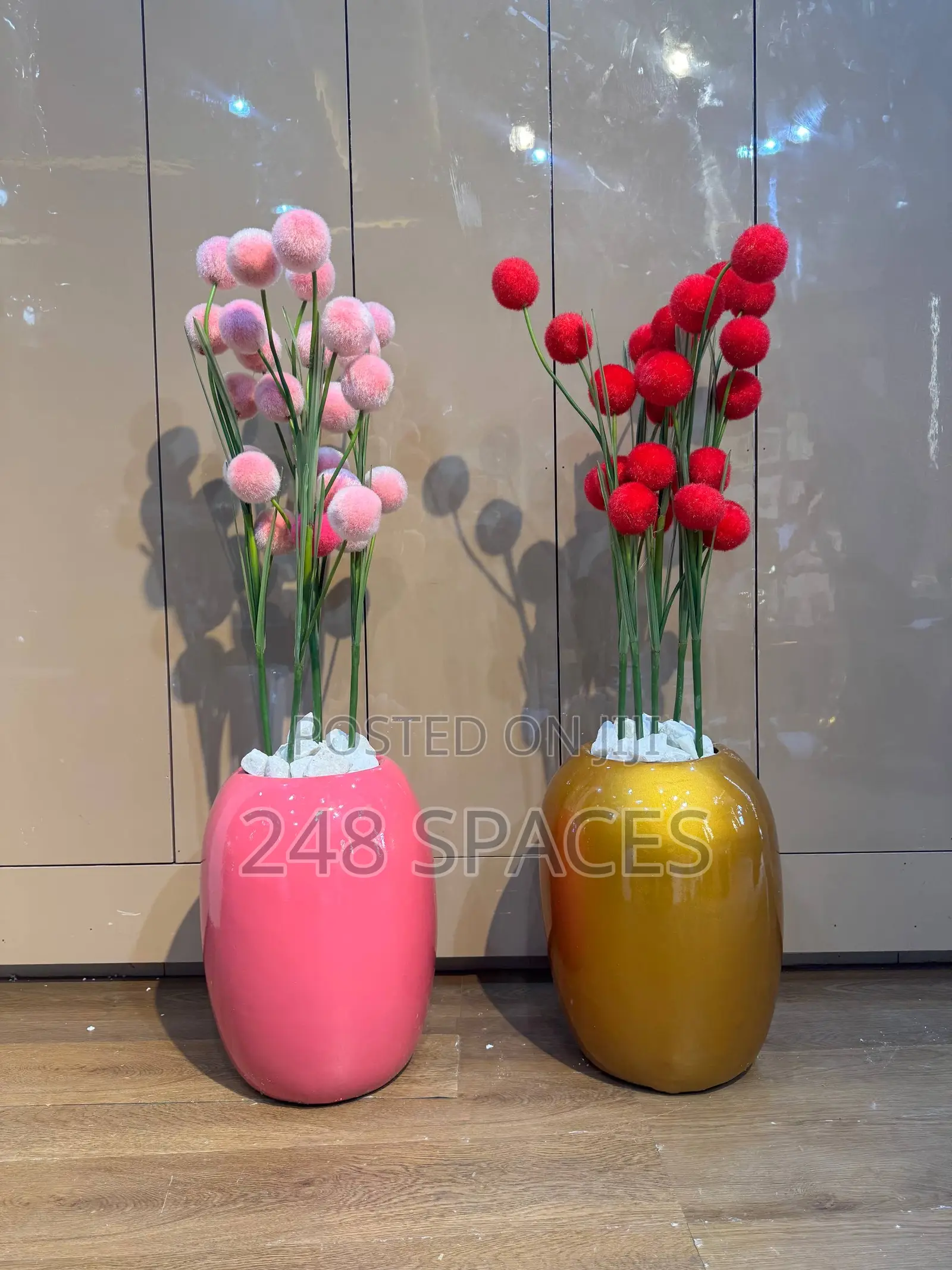 Colourful Indoor Plant