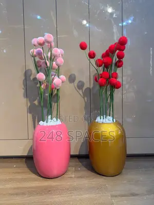 Colourful Indoor Plant