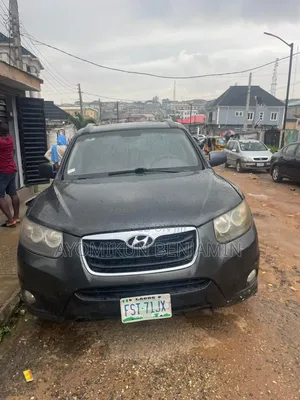 Hyundai Santa Fe Limited 2010 Green