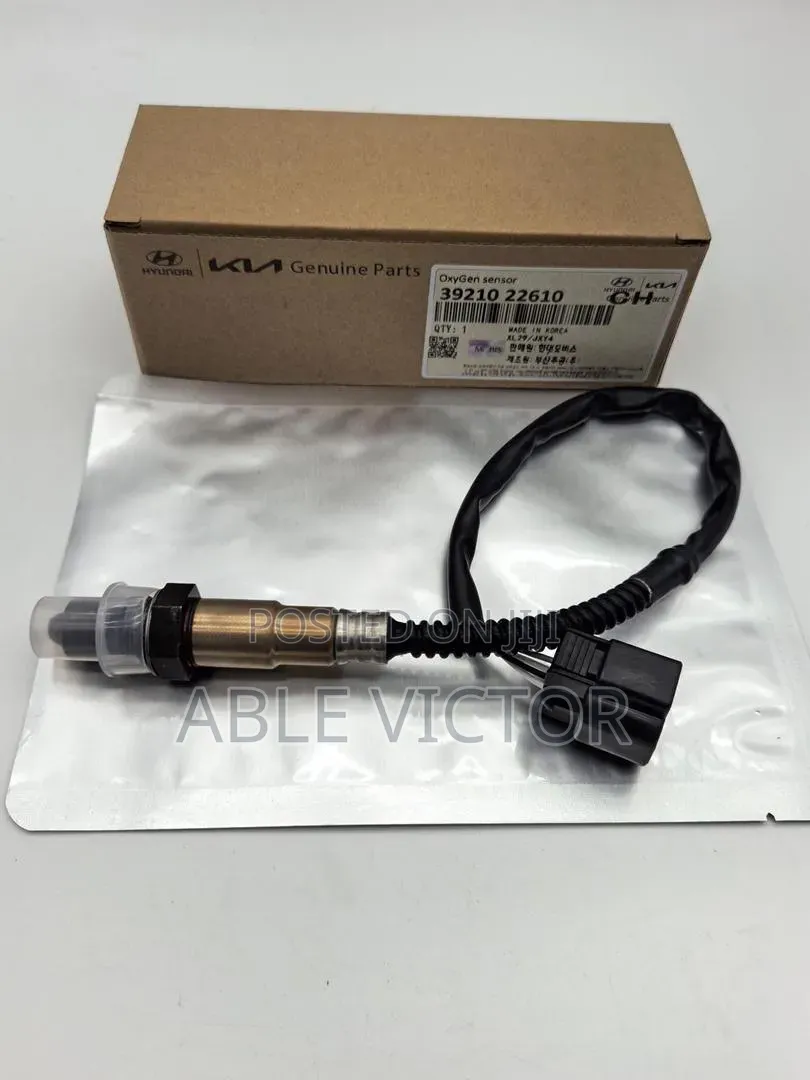 Oxygen Sensor