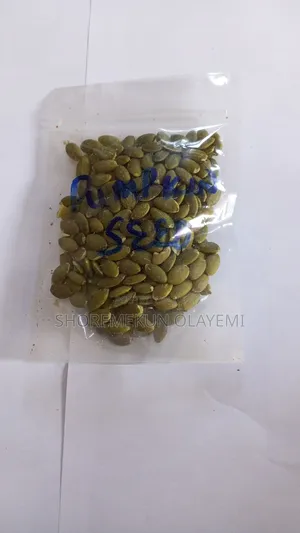 Pumpkin Seed