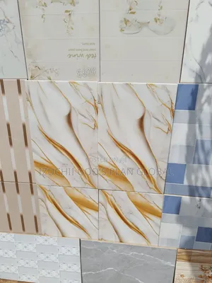 Standard Toilet, Bathroom And Kitchen Wall Tiles