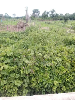 Plots of Land (2) for Sale at Near Warri.