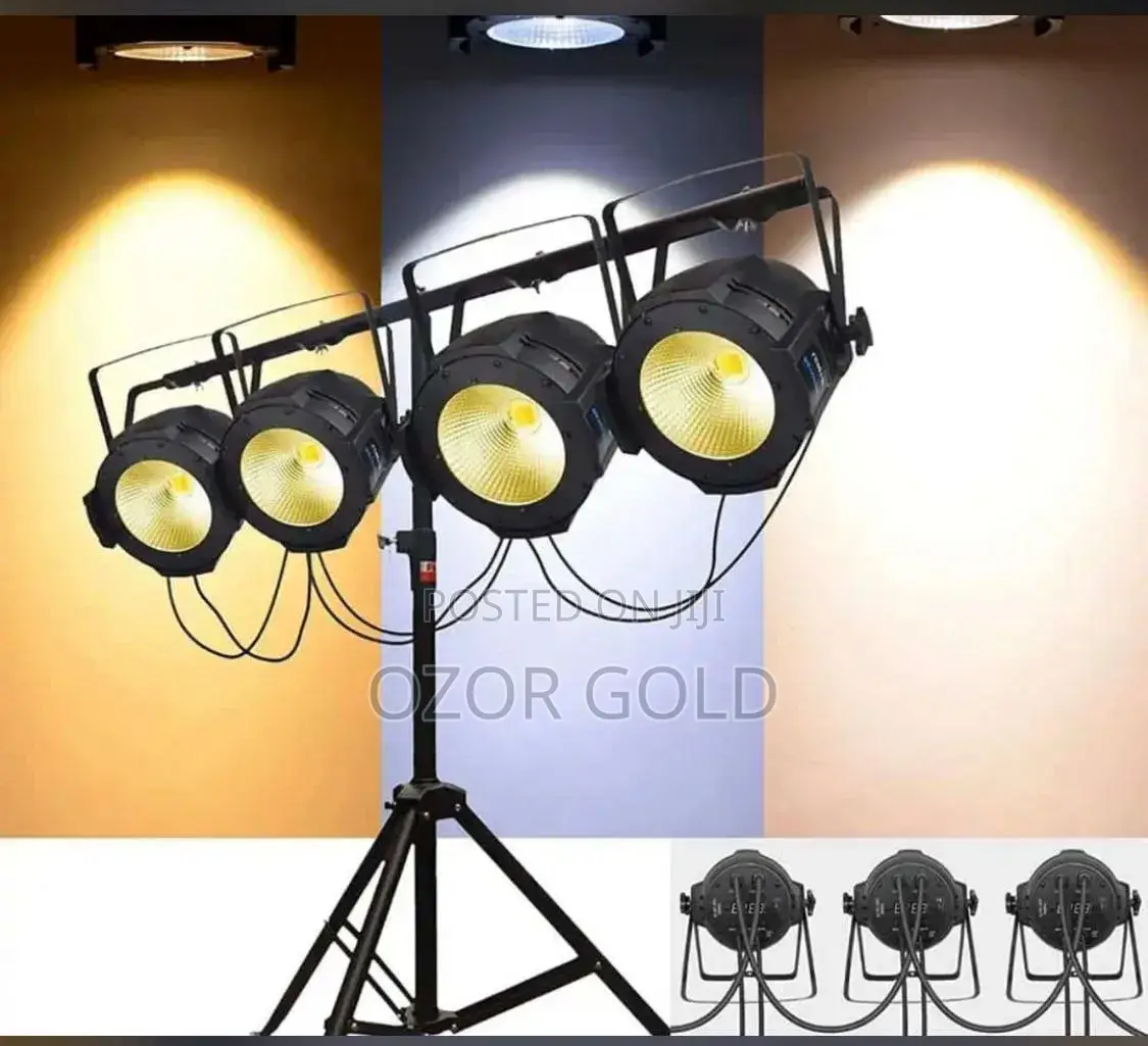 Cob 100w Par Light