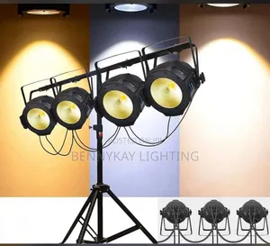 Cob 100w Par Light