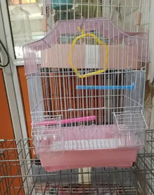 Bird Cages