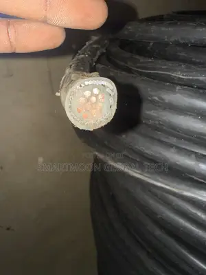 2.5mm 10core Armored Cable