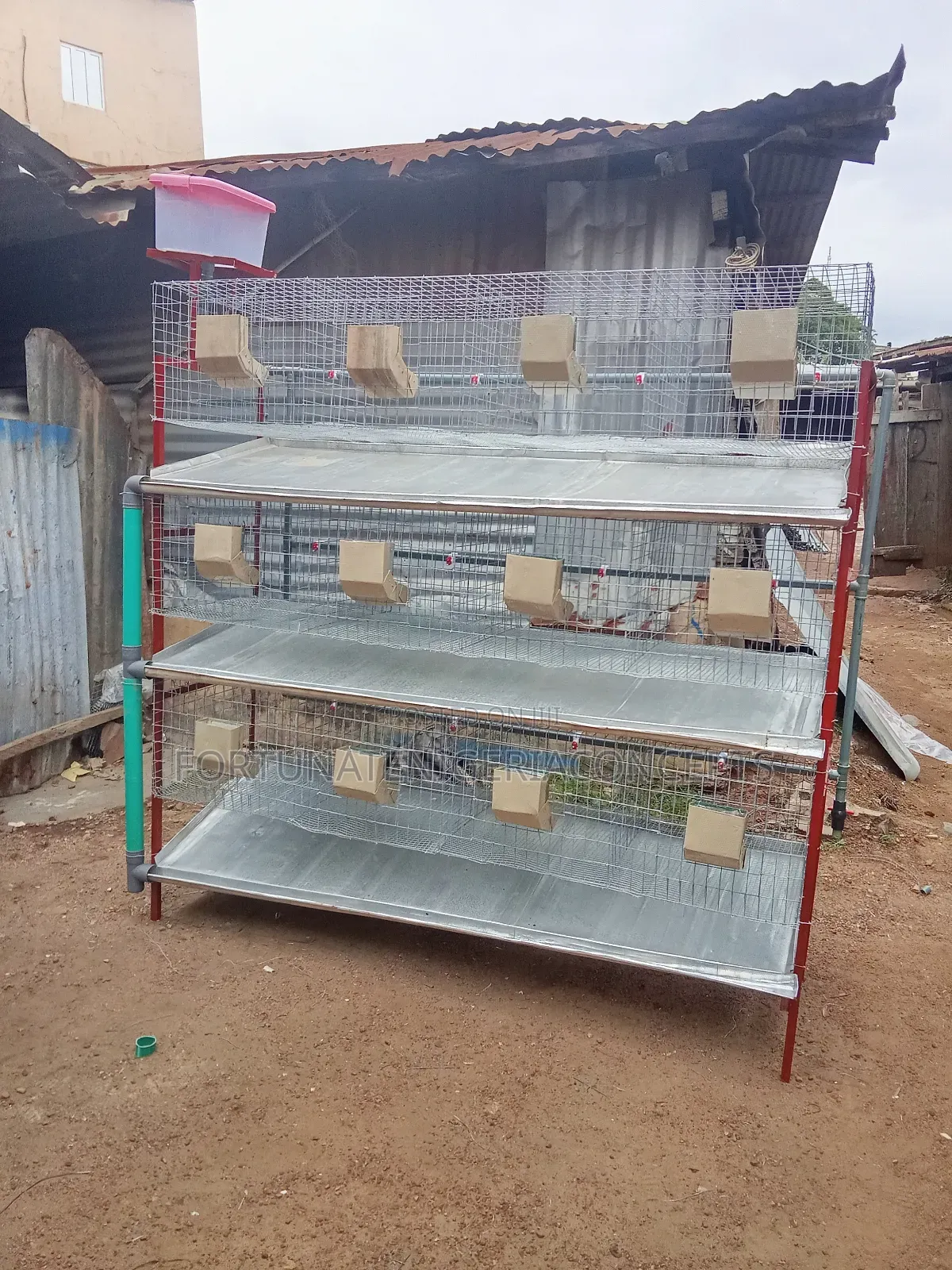 Newly Built Rabbit Cages