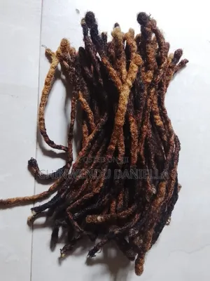 Dread Lock