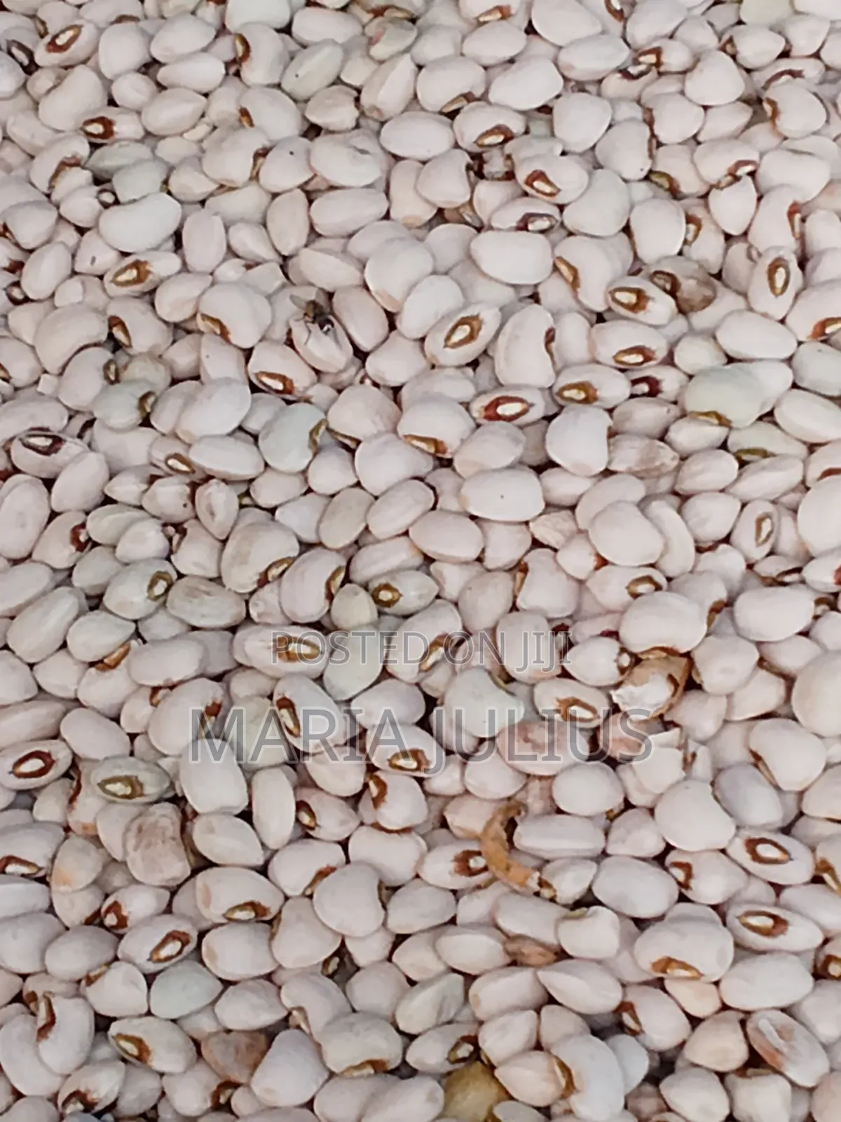 Akara Beans