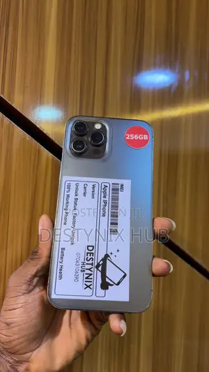Apple iPhone 12 Pro Max 256 GB Black