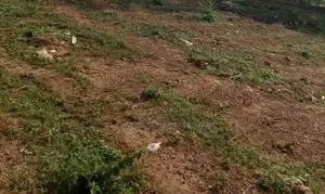 1550sqm Residential Plots for Sale in Mbora by Citec