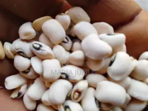 Clean Maize Complete 30 Rubber