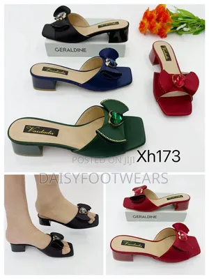 Geraldine Vaidada Low Heel Slippers