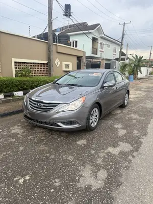 Hyundai Sonata 2010 Gray