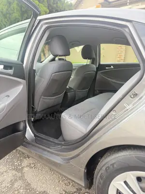 Hyundai Sonata 2010 Gray