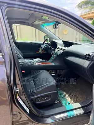 Lexus RX 2009 Gray