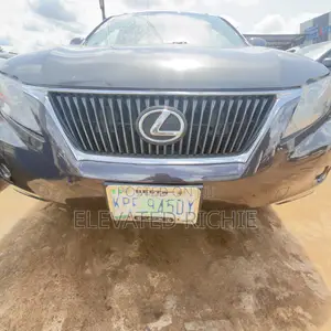 Lexus RX 2009 Gray