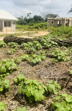 Fast Hand 100 by 100 at Obagie Nevbosa Community Road,