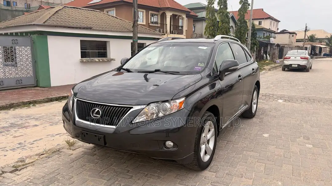 Lexus RX 350 2010 Gray