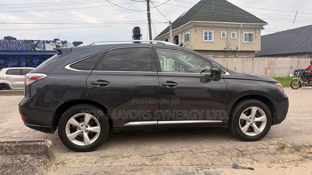 Lexus RX 350 2010 Gray
