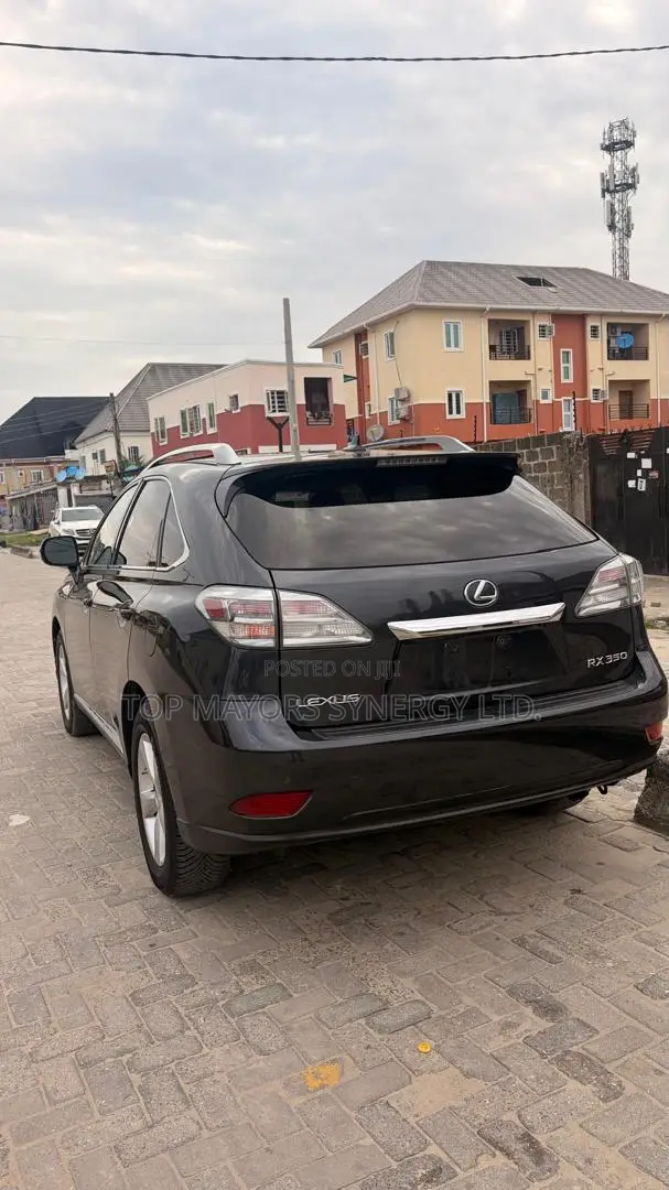 Lexus RX 350 2010 Gray