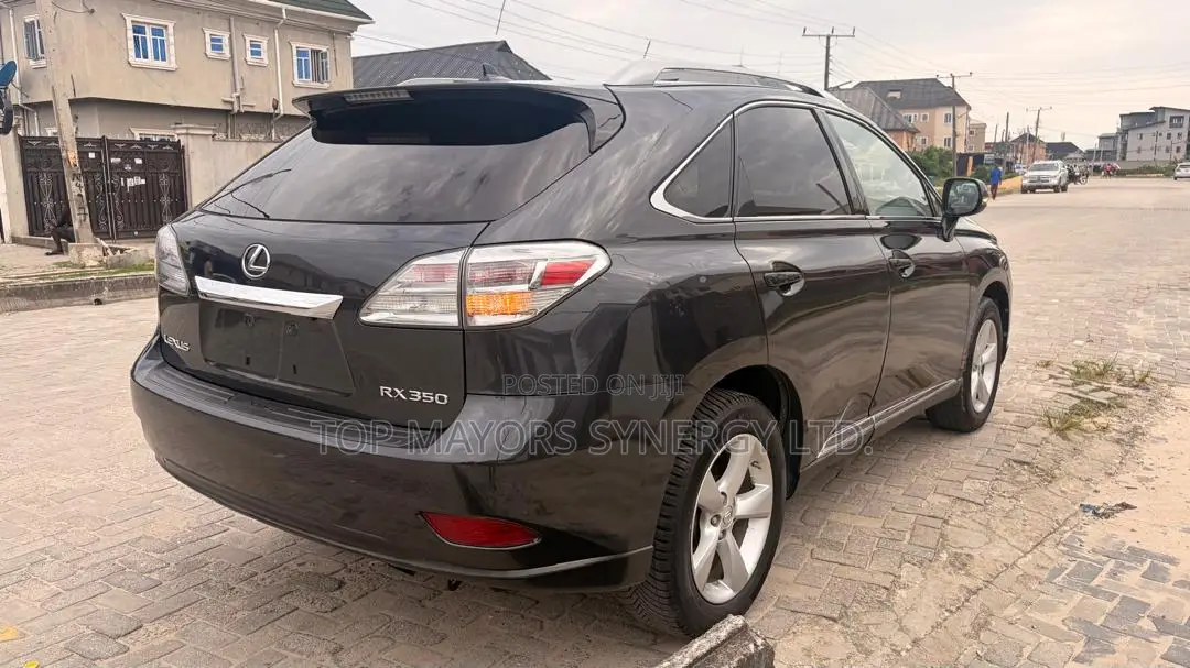 Lexus RX 350 2010 Gray