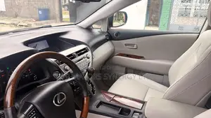 Lexus RX 350 2010 Gray