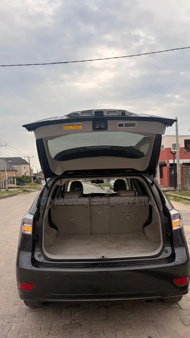 Lexus RX 350 2010 Gray