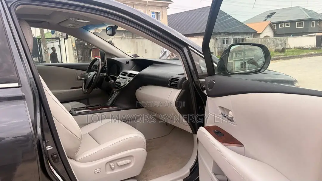 Lexus RX 350 2010 Gray