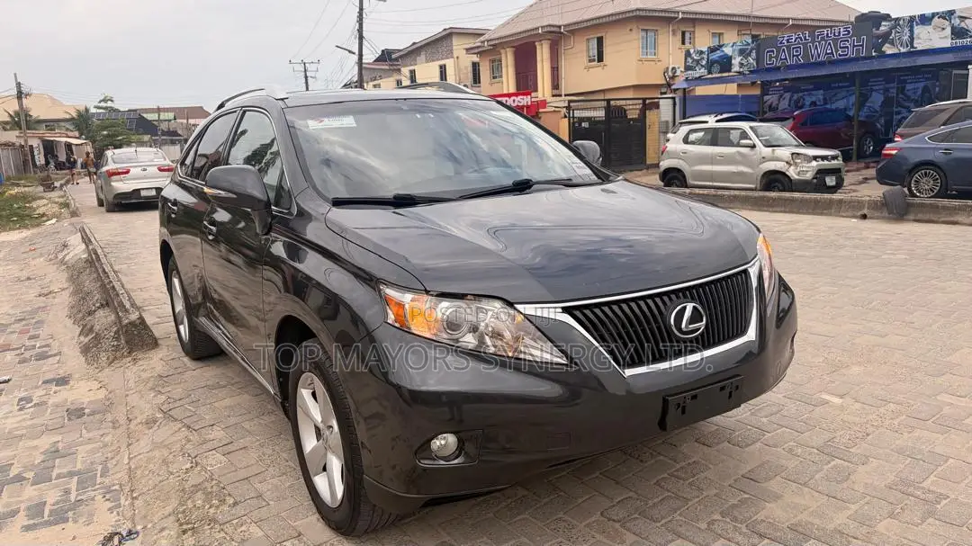 Lexus RX 350 2010 Gray
