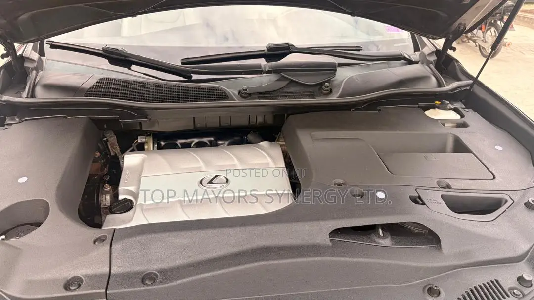 Lexus RX 350 2010 Gray