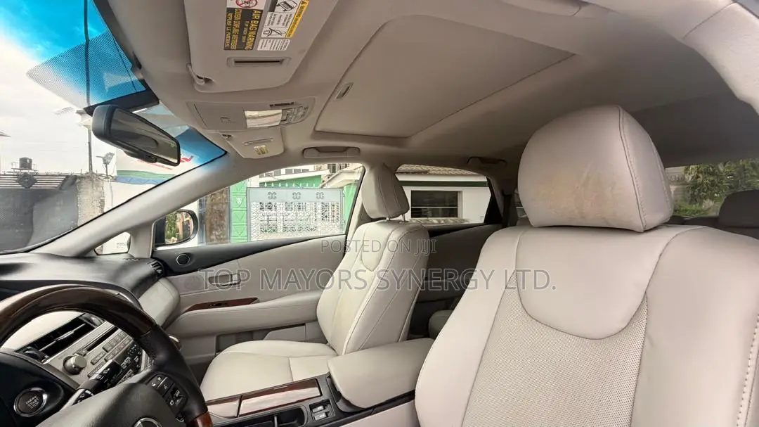 Lexus RX 350 2010 Gray