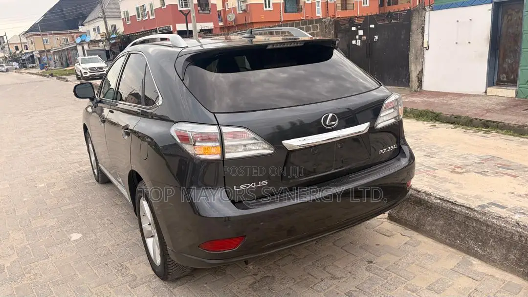 Lexus RX 350 2010 Gray