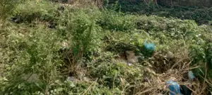 770.81sqm Residential Land for Sale in Kyami