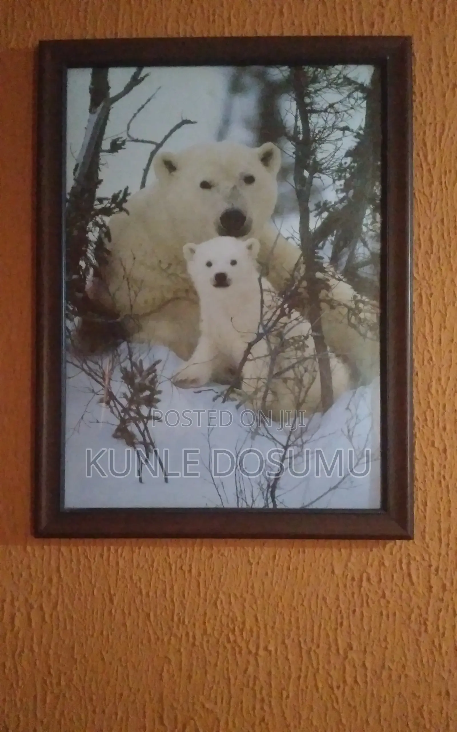 Two Beautiful Artwork Frame